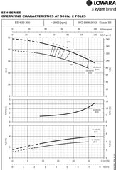 Lowara e-SH Surface Flanged Pump