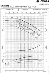 Lowara e-SH Surface Flanged Pump