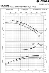 Lowara e-SH Surface Flanged Pump