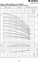 Lowara e-HM S Series Multi-stage Pump