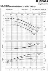 Lowara e-SH Surface Flanged Pump