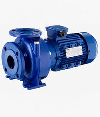 Loware e-NSC Surface Flanged Pump